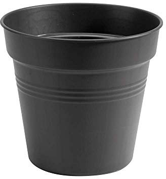Elho Green Basics Growpot 21 - Growpot por Interior y Exterior cultívalo tú Mismo - Ø 21.0 x H 19.3 cm - Negro/Living Black