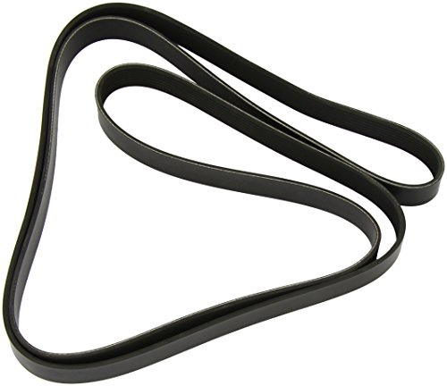 Dayco 8PK2512 Keilrippenriemen | Kompatibel mit: LAND ROVER RANGE III, LAND RANGE SPORT I