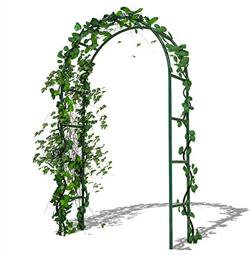 YYHJ Rosenbogen,Pergola Metall,Torbogen Garten,Gartentor Rankhilfe für Kletterpflanzen Wetterfest und Freistehend,für Indoor Outdoor Terrasse Spalier Braut Party Dekoration (Dunkelgrün)
