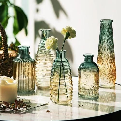 Lxoraziy Glass Bud Vases Set of 5, Lovely Clear Vase, Vintage Bottle for Table Decorations, Wedding Decor, Recepetion, Home
