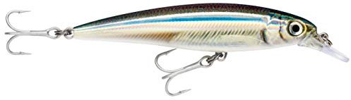 Rapala Unisex-Adult X-Rap Saltwater Locken, Anschovis, 12cm