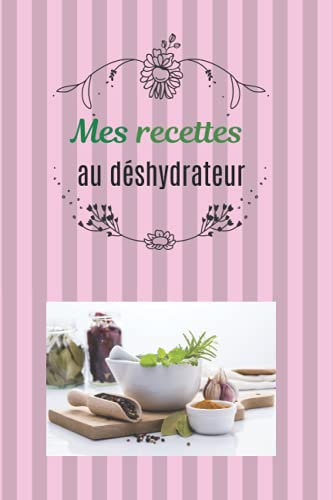 Mes recettes au déshydrateur: Fiches à remplir