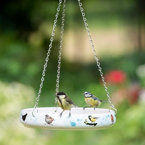 CJ Wildlife vogeltränke Keramik – vogeltränke Winterfest – vogelbad mit Stabiler Kette – Wasserschale für Vögel – farbenfrohe Naturmotive von Myrte