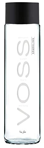 Voss Artesian SPARKLING Gletscher Wasser in Glasflasche 6 x 0,375 Liter