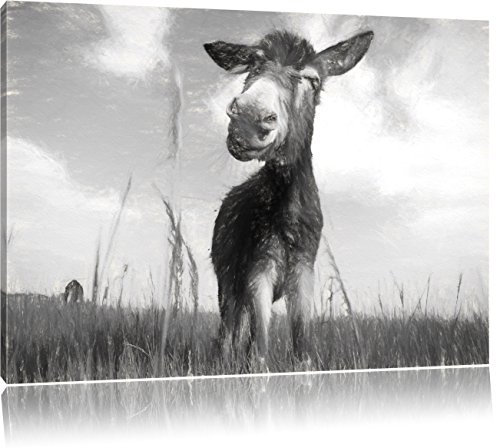 Pixxprint Esel im Feld, Größe: 120x80cm, Leinwandbild, fertig gespannt, Wandbild, Dekoration, Kunstdruck, kein Poster