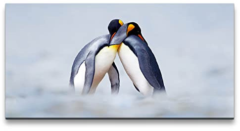 Paul Sinus Leinwandbild 120x60cm Kaiserpinguine Pinguine Pärchen Eis schöne Tiere