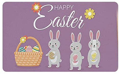 Ostern Fußmatte Osterhase Türmatte 40 x 60 cm Fussmatte für außen & innen Deko Antirutsch Fußabtreter für Haustür Eingangsmatte Schmutzfangmatte Frühlingsdeko Z#22