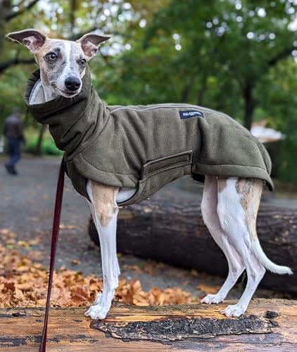 EDEL&SCHNELL Hundemantel mittelgroße Hunde 45 bis 50 cm luxuriöse Hundejacke in grün mit Bauchschutz Windhund Wintermantel wärmend mit Wildleder und weichem Kunstfell