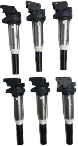 JHVVBFWF Für B&MW E60 E61 F10 F11 E39 F07 520I 523I 525I 528I 1/6PCS Zündspule Zündsystem 0221504470 12138616153 12137594596 Autoteile(6PCS)