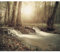 decomonkey - Papier Peint Panoramique Foret 400x280 cm - Décoration murale moderne – Tapisserie décorative pour chambre salon - Arbres automne forêt feuilles nature paysage rivière soleil gris