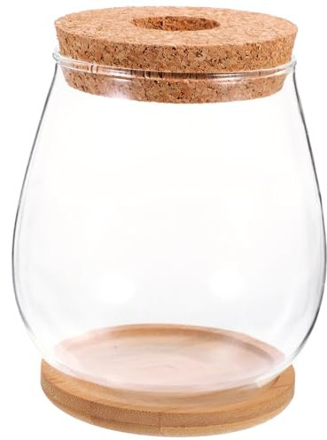 BESPORTBLE 3 Set Vaso di idroponico irrigazione viti coperchio pescare Piante finte contenitore paesaggio muschio bottiglia ecologica di muschio bottiglia di piante terrario vuoto bambù