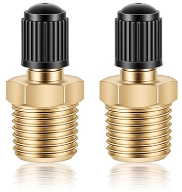2pcs 1/4 NPT Tank Valve, Brass Schrader Valve Male Threads Standard Valves Core Using with Air Compressor Tanks