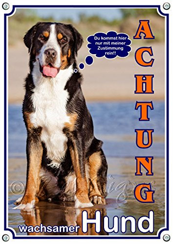 Petsigns Hundeschild - Großer Schweizer Sennenhund - Exklusives Metallschild - TOP, 2. DIN A4