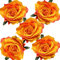 SCF2017 5 Stück Rose Blume Haarspange Haarspange Brosche Braut Hochzeit Brautjungfer Party Zubehör (Orange)