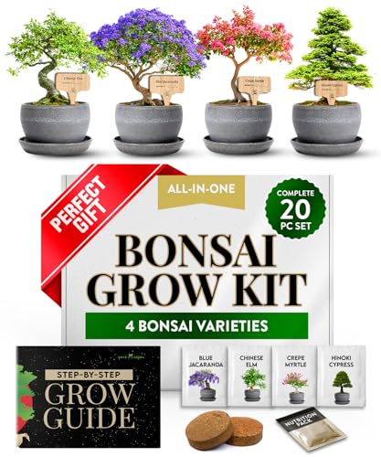 HOME GROWN Bonsai Tree Starter Kit, 4 Varieties, Indoor Gardening Gift Set