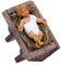 Fritz Cox RuCo Krippe - Jesuskind im Barren | deutsche Handarbeit | Jesus Baby trägt EIN Stoffgewand