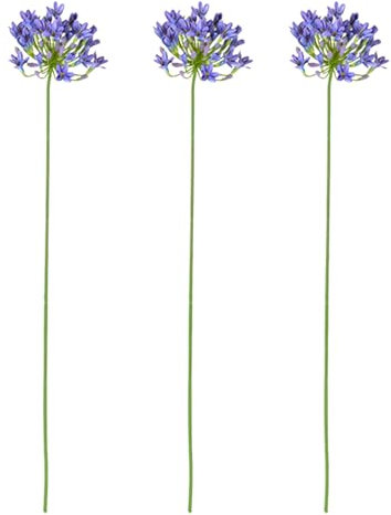 3 Fiori Artificiali di Agapanthus, Rami di Fiori Finti da 30 Pollici per Vaso, Fiori di Seta Finti Gigli Africani, Fiori Finti a Stelo Lungo, Fiori di Seta per Composizioni Floreali Primaverili(Blu)