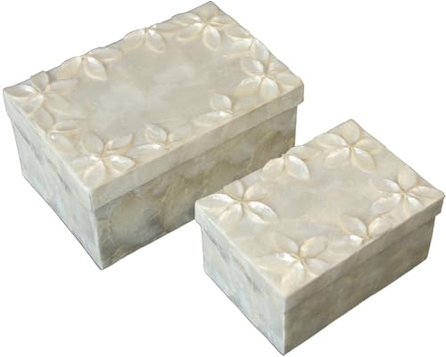 SET 2 CAJAS RECT. NÁCAR FLORESRELIEVE NATURAL_21X14X10+16X11X8CM