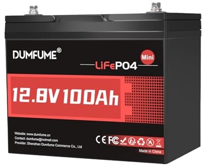 Dumfume Batterie Lithium Lifepo4 Mini 12V 100Ah - BMS 100A, 1280Wh, Batterie Rechargeable à DéCharge Profonde, DuréE De Vie De 10 Ans pour Camping-Car, Solaire Et Stockage D'éNergie Domestique