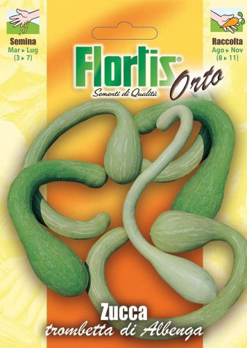 Flortis 4355372 Kürbis kleine Trompete von Albenga (Kürbissamen) [MHD 12/2019]