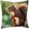 Brandsseller Dekokissen Zierkissen mit Tiermotiv - 40 x 40 cm (40 x 40 cm, Eichhörnchen)