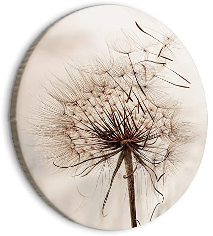 murando - runde Bilder Pusteblume 60x60 cm Leinwandbild 1 tlg Kunstdruck modern Wandbilder XXL Wanddekoration Design Wand Bild Pflanzenmotiv Blumen Natur b-B-0549-bc-a