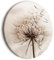 murando - runde Bilder Pusteblume 60x60 cm Leinwandbild 1 tlg Kunstdruck modern Wandbilder XXL Wanddekoration Design Wand Bild Pflanzenmotiv Blumen Natur b-B-0549-bc-a
