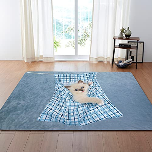 Fußmatte Blaue Katze Beige Rugs for Living Room Polyester Teppich Wohnzimmer Fussmatte Aussen Fußmatte Außen Innen Schmutzfangmatte Waschbar Fusmatte Fußmatten Haustür Verdicken 150x200