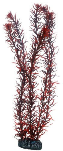 Hobby 51583 Eusteralis, 39 cm