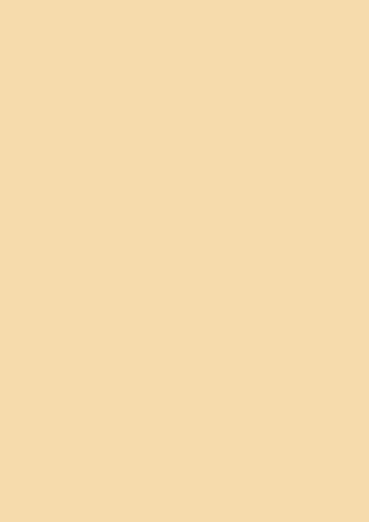 Tonpapier/Tonkarton (48 Farben / A4-21,0 x 29,7 cm - 130 g/m2-10 Blatt) Farbe FREI WÄHLBAR (BEIGE)