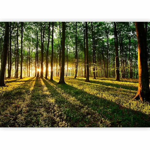 murando Photo Wallpaper 450x315 cm Non-Woven Premium Art Print Fleece Wall | Mural Decoration Poster Picture Design Modern Flower Floral Nature Forest Nature Landscape Trees
