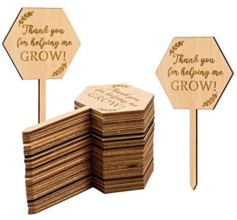 Parbee 40 sechseckige Pflanzenstecker mit Aufschrift Thank You for Helping Me Grow Sukkulenten, Geschenk für Muttertag, Weihnachten, Thanksgiving, Babyparty