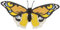 Fridolin 3D Papiermodell Bunter Schmetterling