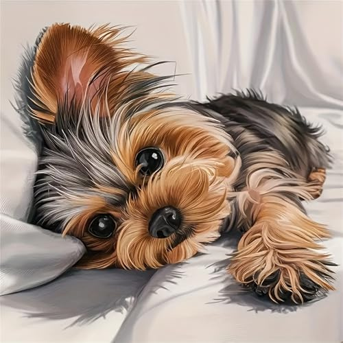 DSFEFV Hund Diamond Painting Erwachsene Adult,DIY Diamant Painting Bilder,Daiments Painting Erwachsene Für Home Wand Decor,Frauen Geschenk. (Hund)