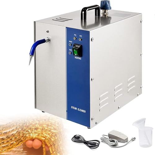 Nettoyeur à Vapeur pour Bijoux en Acier Inoxydable, Rondelle De Pierres Précieuses 1300w / 2200w, Machine De Nettoyage à Vapeur pour Bijoux en Or Et en Argent, Température De Vapeur, 4L