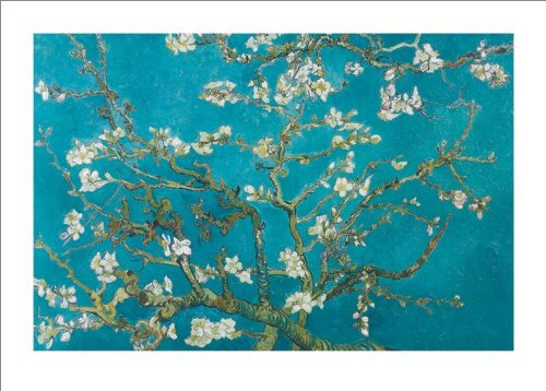Van Gogh - Almond Blossom San Ramy 1890 - Kunstdruck Artprint Art-Print - Grösse 70x50 cm + 2 St Posterleisten Kunststoff 93 cm transparent