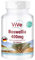 Weihrauch 400mg Tabletten - 240 Tabletten - Boswellia serrata - Hochdosiert - Vegan | Qualität aus Deutschland von ViVe Supplements