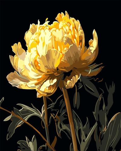 Yoonqun Goldene Pfingstrose Malen Nach Zahlen,45x60cm Malen Nach Zahlen Erwachsene DIY inklusive Pinsel und Acrylfarben Handgemalt Ölgemälde Kit Startseite Wandkunst Dekoration mit Rahmen