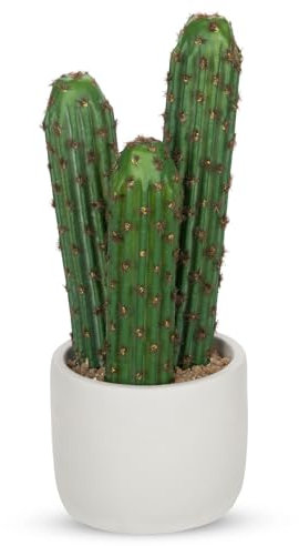 Hollyone Künstliche Pflanzen Kaktus Klein 25cm Fake Kaktus Pflanzen in Topf Faux Kakteen Pflanzen für Innen Außen Haus Garten Büro Dekoration Grün