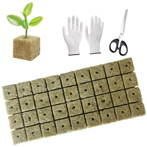 WANYI 36 Stück Steinwolle Anzucht, Rockwool Cube, Steinwolle Dämmung, Steinwolle Grow Anzucht Anzuchtmatte mit Schere Handschuhe für Bodenlos Anbau Hydrokultur Umpflanzen