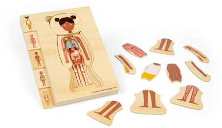 Bigjigs Toys Weibliche Anatomie Puzzle - 26pcs Human Body Jigsaw Set, Wooden Jigsaws, Learn & Play Science Toy For Children, Educational Puzzles, Pre School Resources, Age 3 Years +