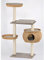 Silvio Design Katzen-Kletterbaum Cosy mit Sanremodekor, Kissen Sand, ca. 36x110x135 cm