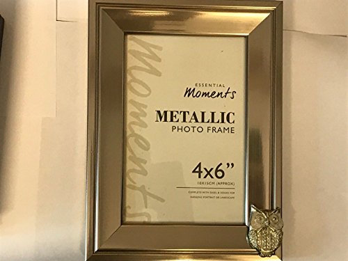 Screech Scops Eule auf Bilderrahmen, silberfarben, 15,2 x 10,2 cm