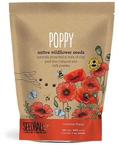 SEEDBALL Poppy Seed Bombs – 100 Seed Balls Per Pack | Bursting with Beautiful Red Poppy Flowers | Clay Protected Seed Bomb for Bees, Butterflies, Birds & Other Garden Wildlife