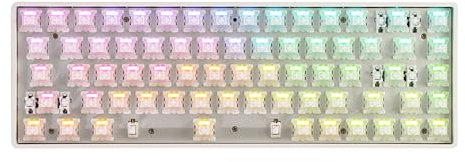 DrunkDeer G65 Mechanische Tastatur mit Schnellauslöser, Magnetschalter, 68 Tasten, Gaming-Tastatur, 65 % Größe, RGB, kompakt, USB, kabelgebunden, ohne Tastenkappe, Grau
