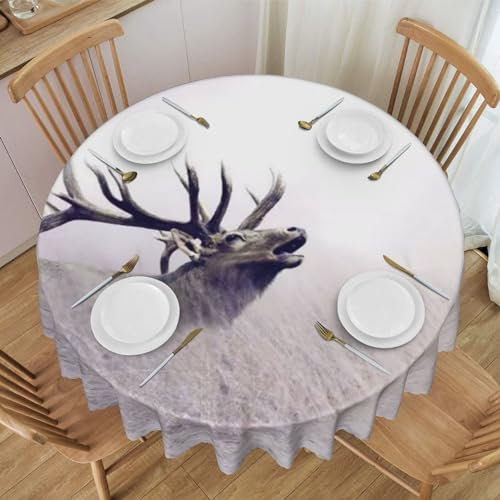 ROOZEE Runde Tischdecke mit wildem Hirsch, bedruckt, 152,4 cm, wasserdicht und knitterfrei, perfekt für Mahlzeiten im Innen- und Außenbereich