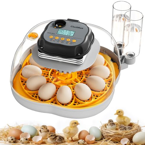 Chicken & Quail Egg Incubator, 12 Egg Incubators for Hatching Eggs, Two Egg Trays, Automatic Egg Turning with Auto Stop, Incubation Day & Period, Auto Refill, Egg Candler, Air Vent, 360° Clear View