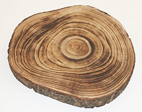 Holzscheibe GEFLÄMMT 28x3cm rund Baumscheibe Holz Scheibe Baum Scheibe Basteln Holzscheiben Dekoteller Dekoschale Unterleger Untersetzer geflammt Dekoobjekt