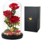 Dream of Flowers Beauty and The Beast Rose, Forever Rose, Enchanted Rose, Everlasting Rose, Never, hochwertige Geschenk-Box – Jahrestag – Geburtstagsparty