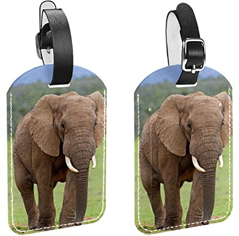 Elefantentiermuster, 4er-Pack Gepäckanhänger für Koffer, Namens- und Adressetiketten, Kofferanhänger für Männer und Frauen auf Reisen